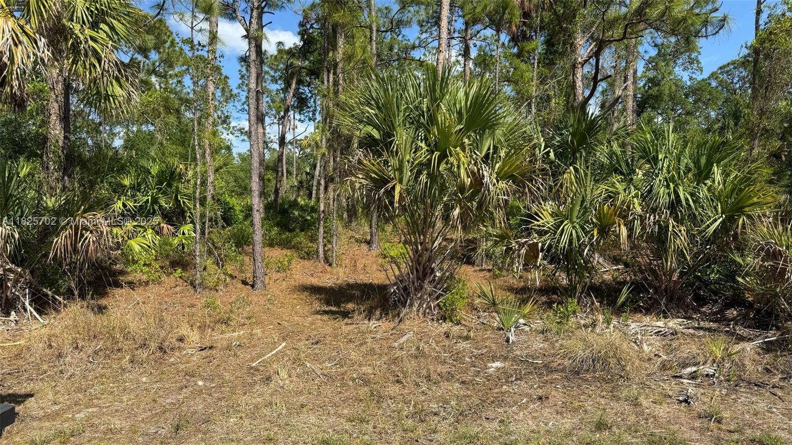 272 Ellington St, Port Charlotte, Florida image 1