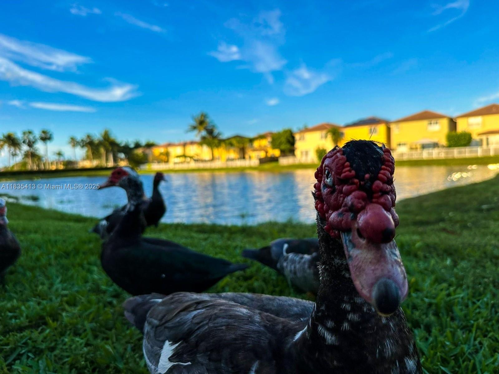 7427 NW 113th Path, Doral, Florida image 13
