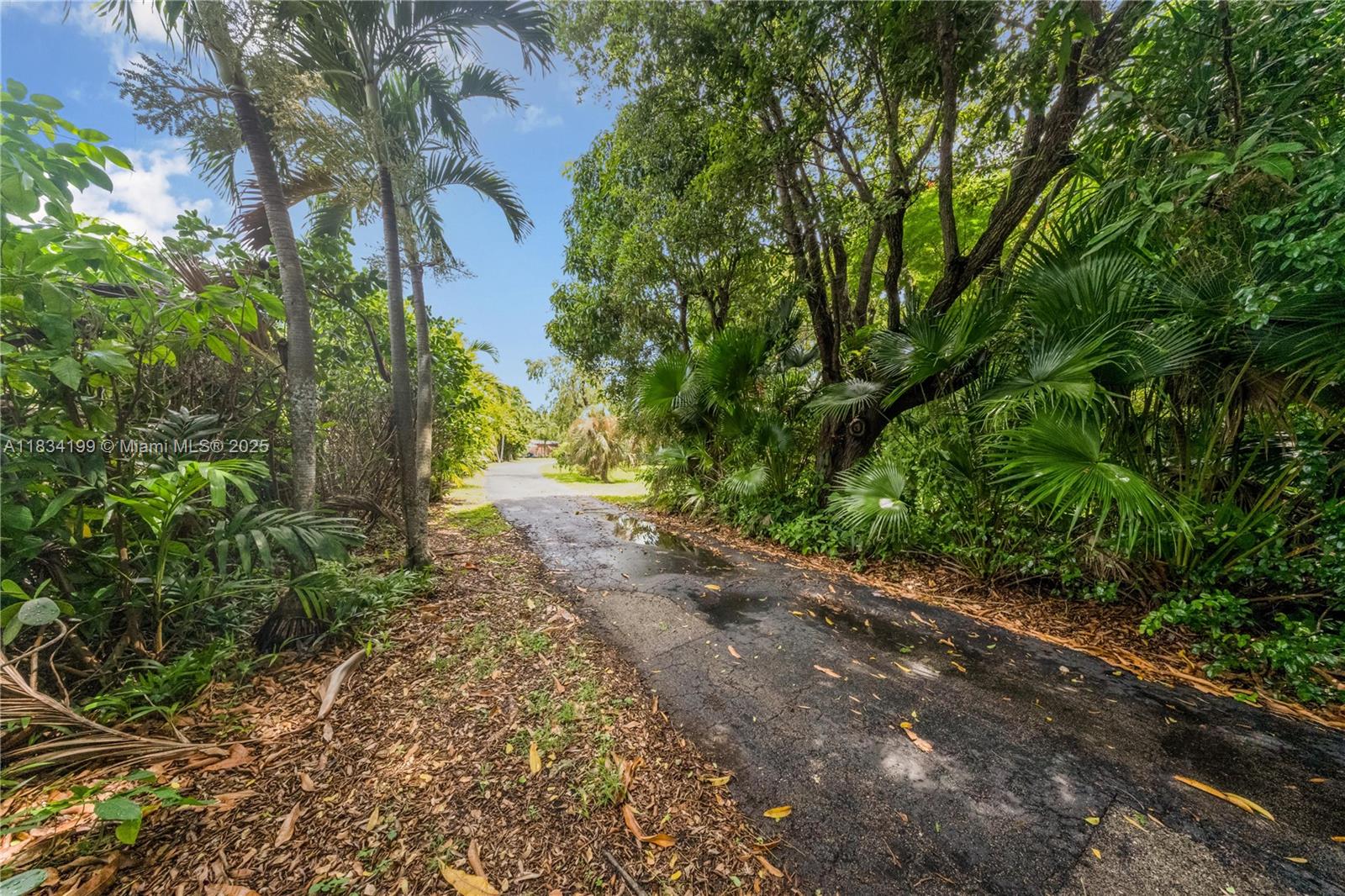 6801 SW 136th St, Pinecrest, Florida image 18