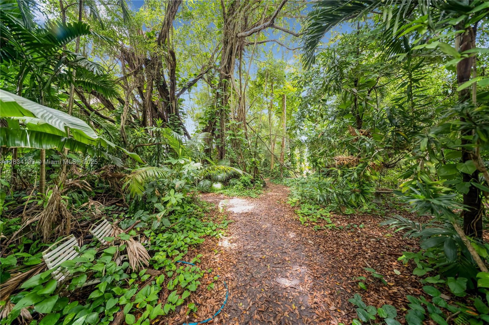 6801 SW 136th St, Pinecrest, Florida image 29