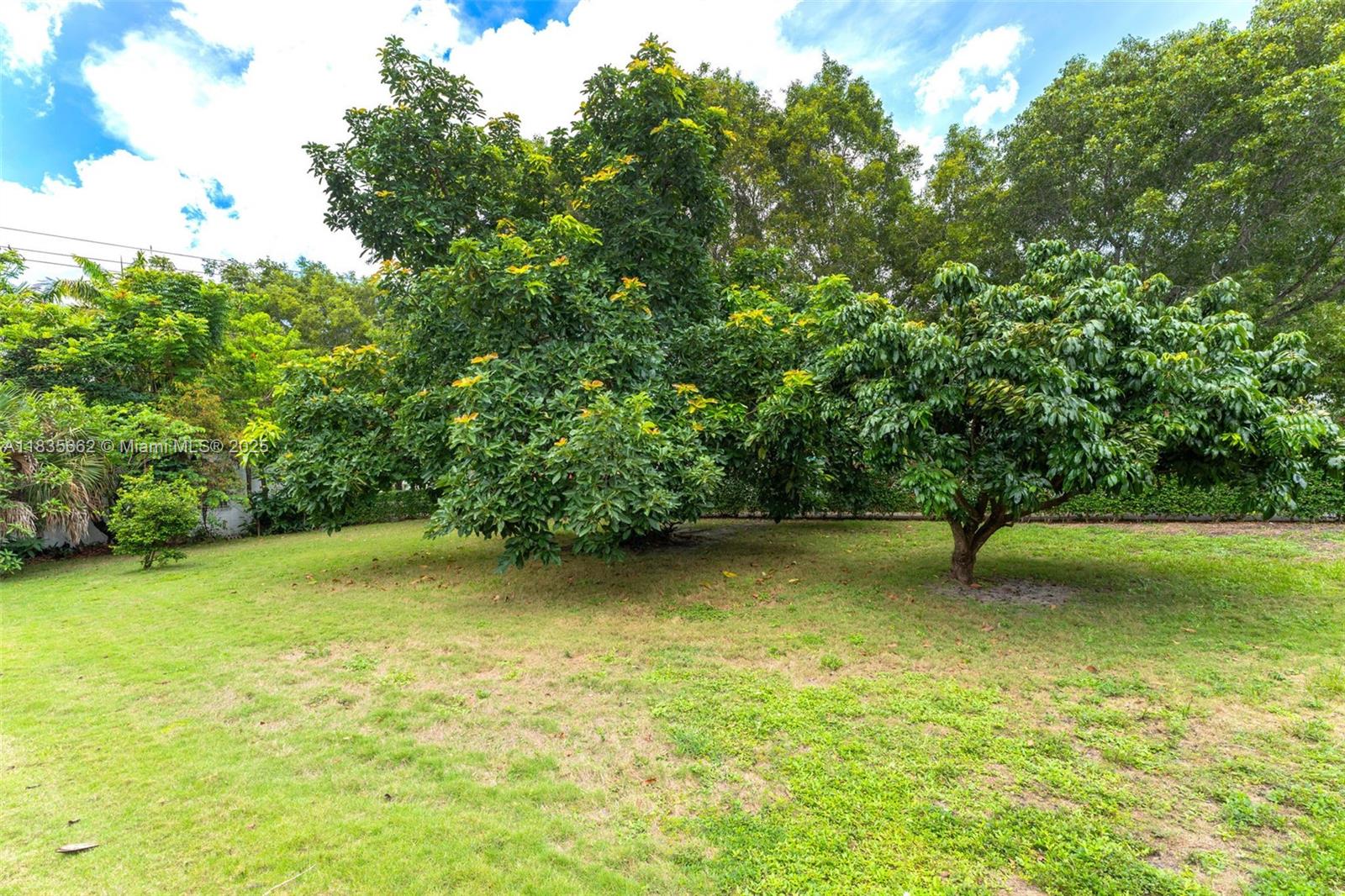 1305 Alhambra Cir, Coral Gables, Florida image 26