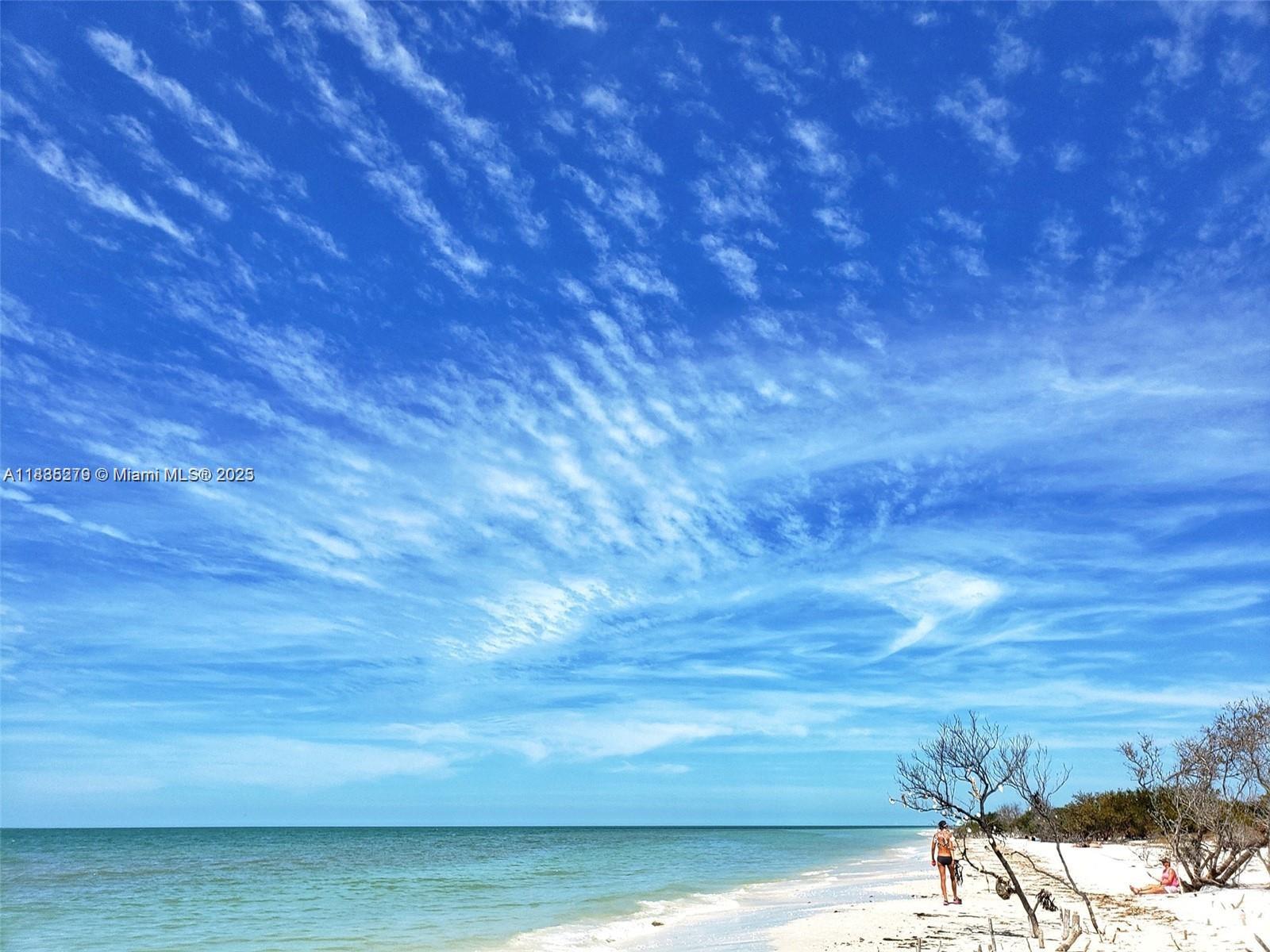 455 ALT 19 #12, Palm Harbor, Florida image 15