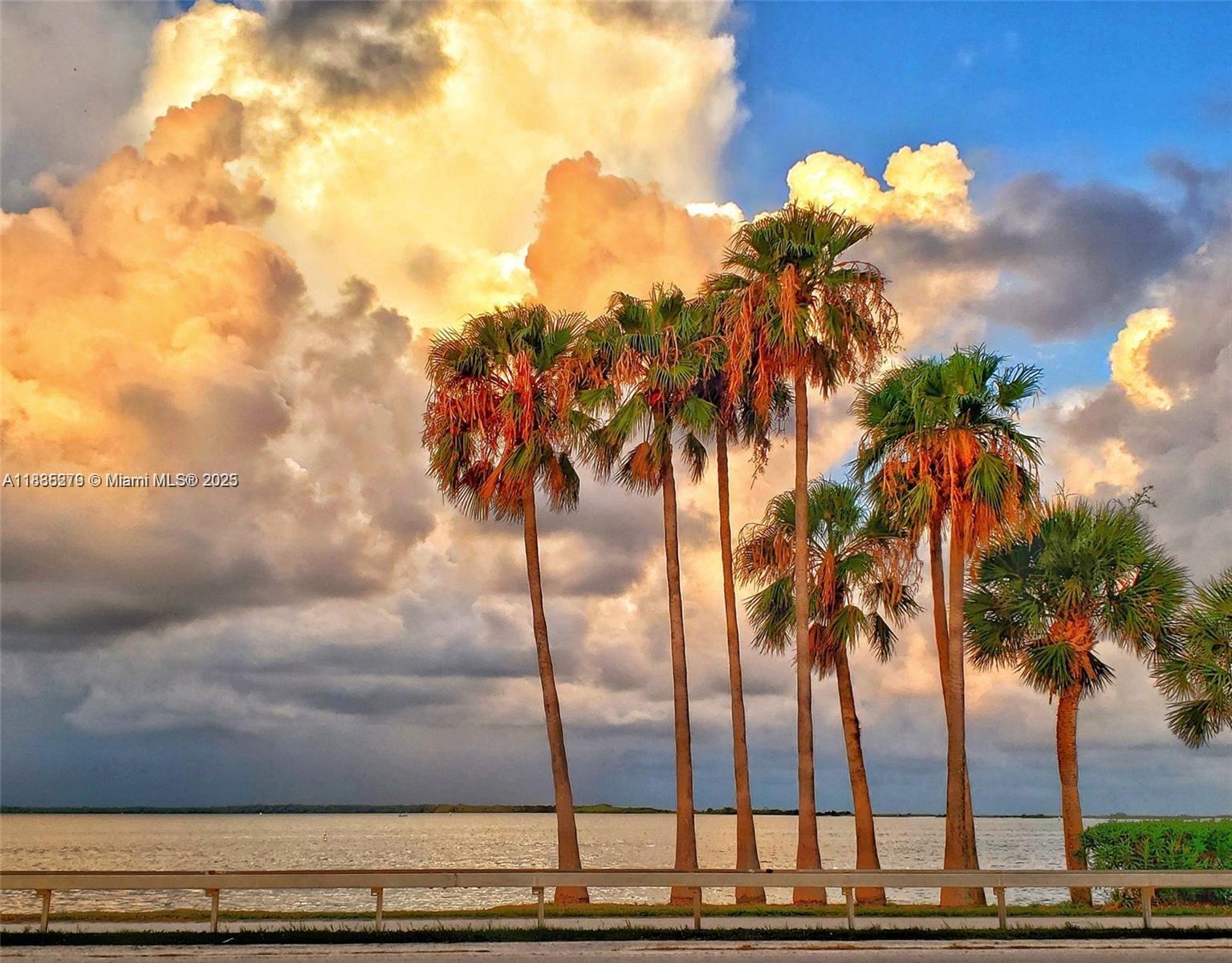 455 ALT 19 #12, Palm Harbor, Florida image 16