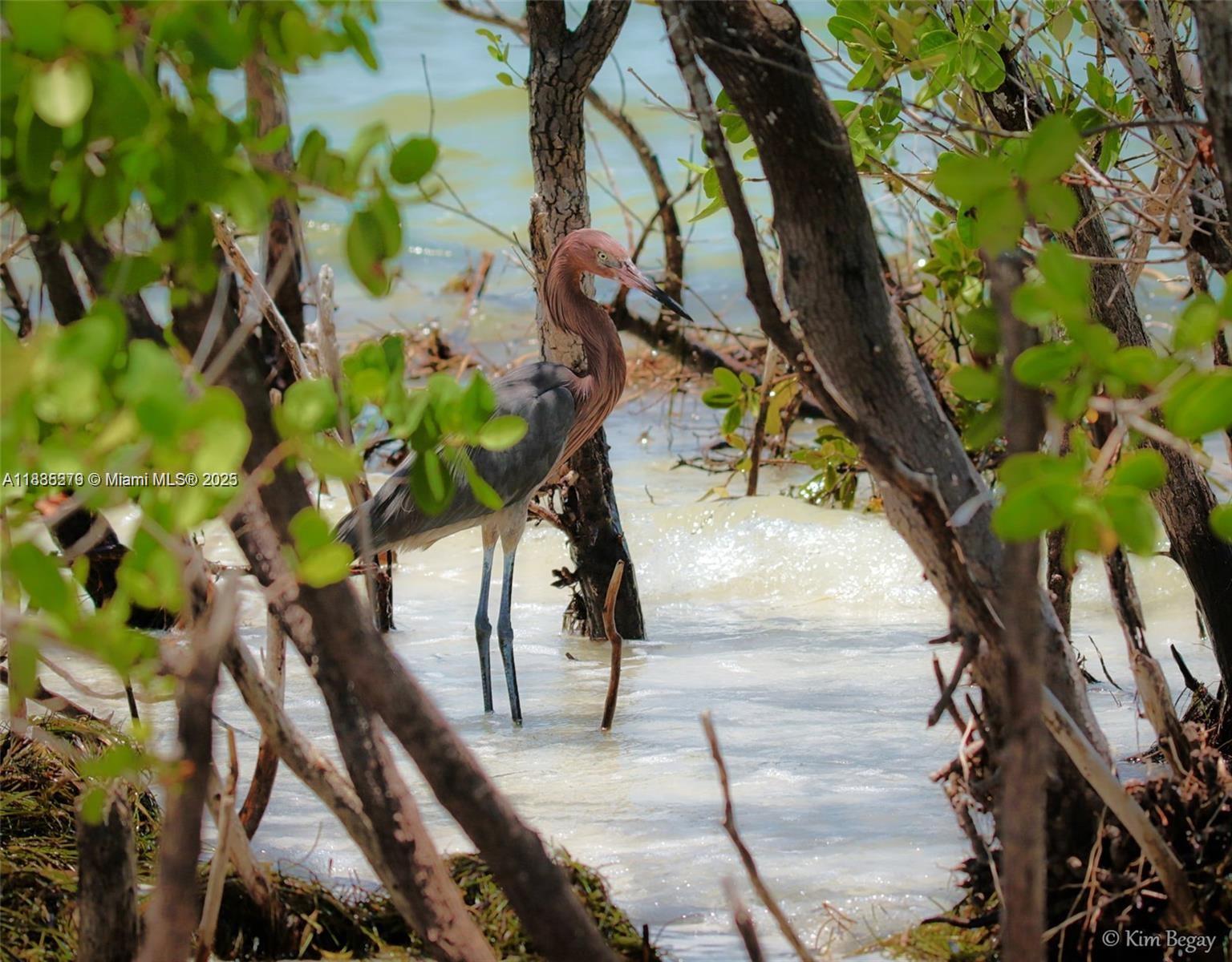 455 ALT 19 #12, Palm Harbor, Florida image 17