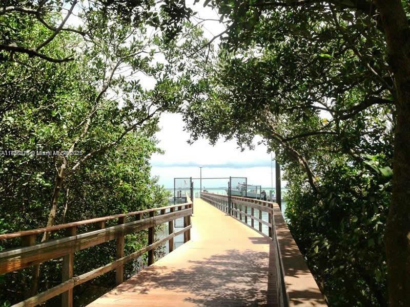 455 ALT 19 #12, Palm Harbor, Florida image 19
