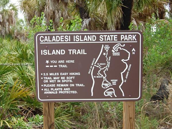 455 ALT 19 #12, Palm Harbor, Florida image 22
