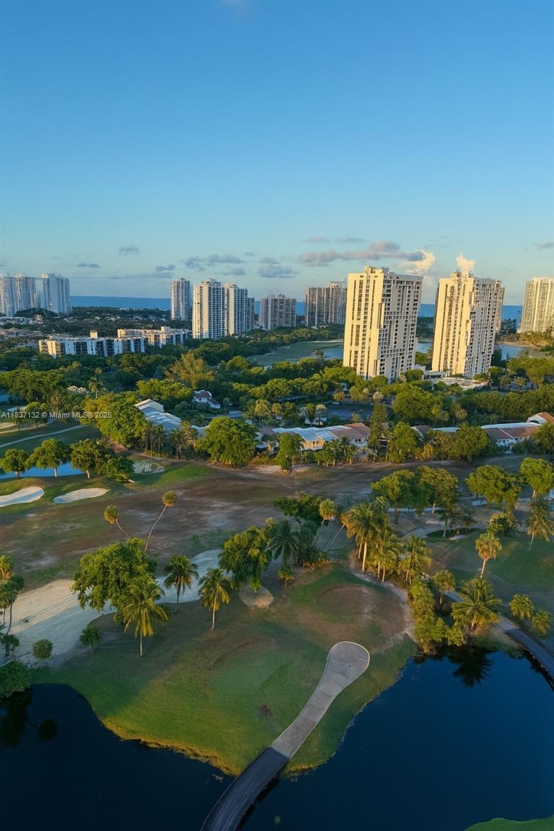 20379 W Country Club Dr #2333, Aventura, Florida image 27