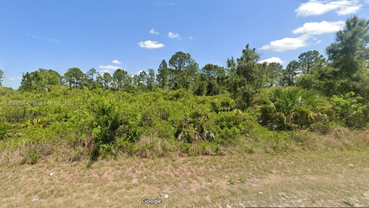 355 Long Ave, Lehigh Acres, Florida image 1