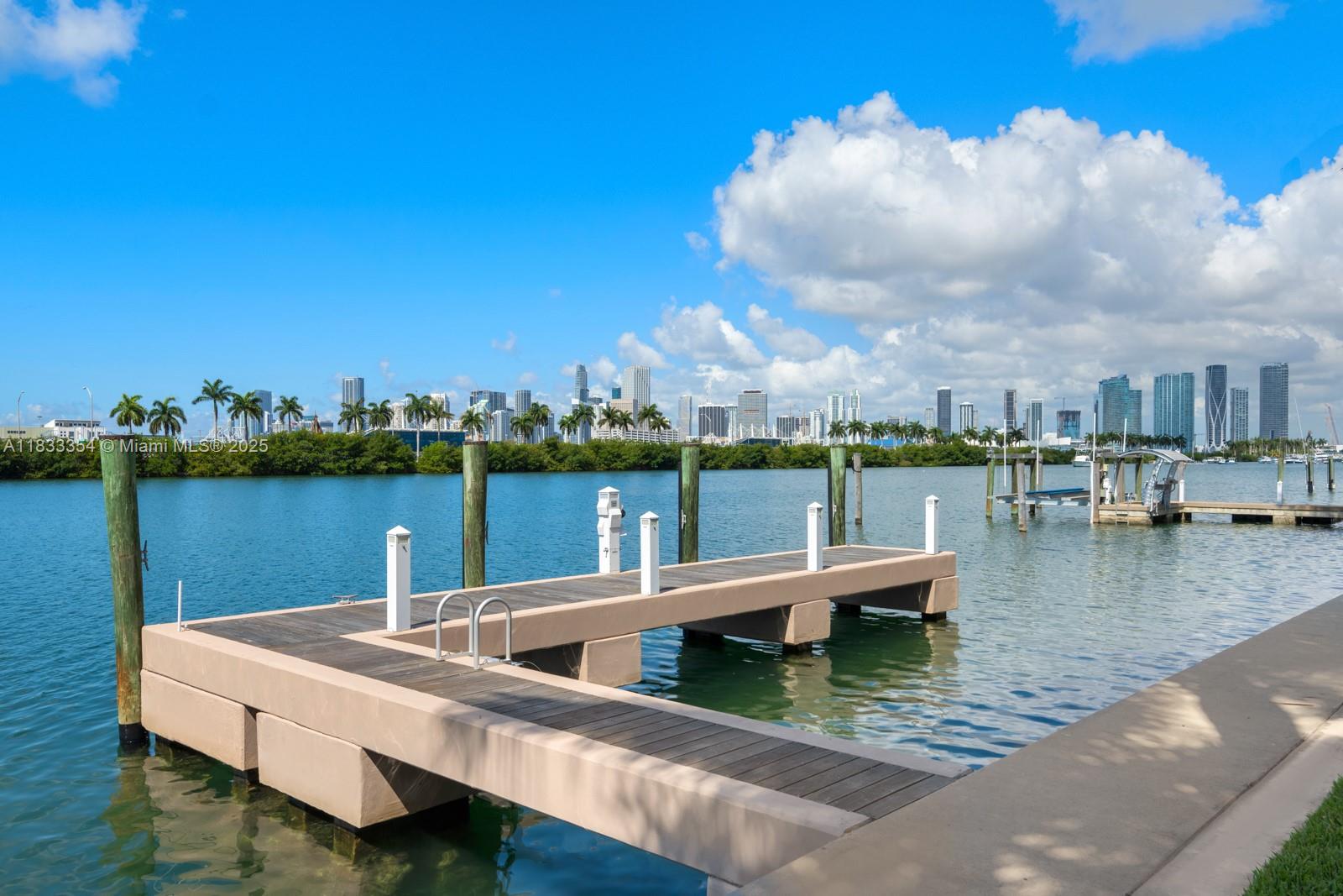 198 Palm Ave, Miami Beach, Florida image 20