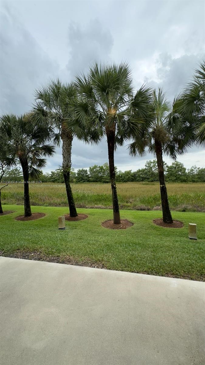 2487 Cordoba Bnd, Weston, Florida image 5