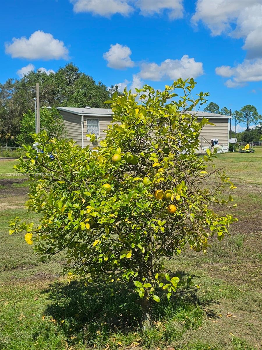648 Avenida Del Sur, Clewiston, Florida image 27