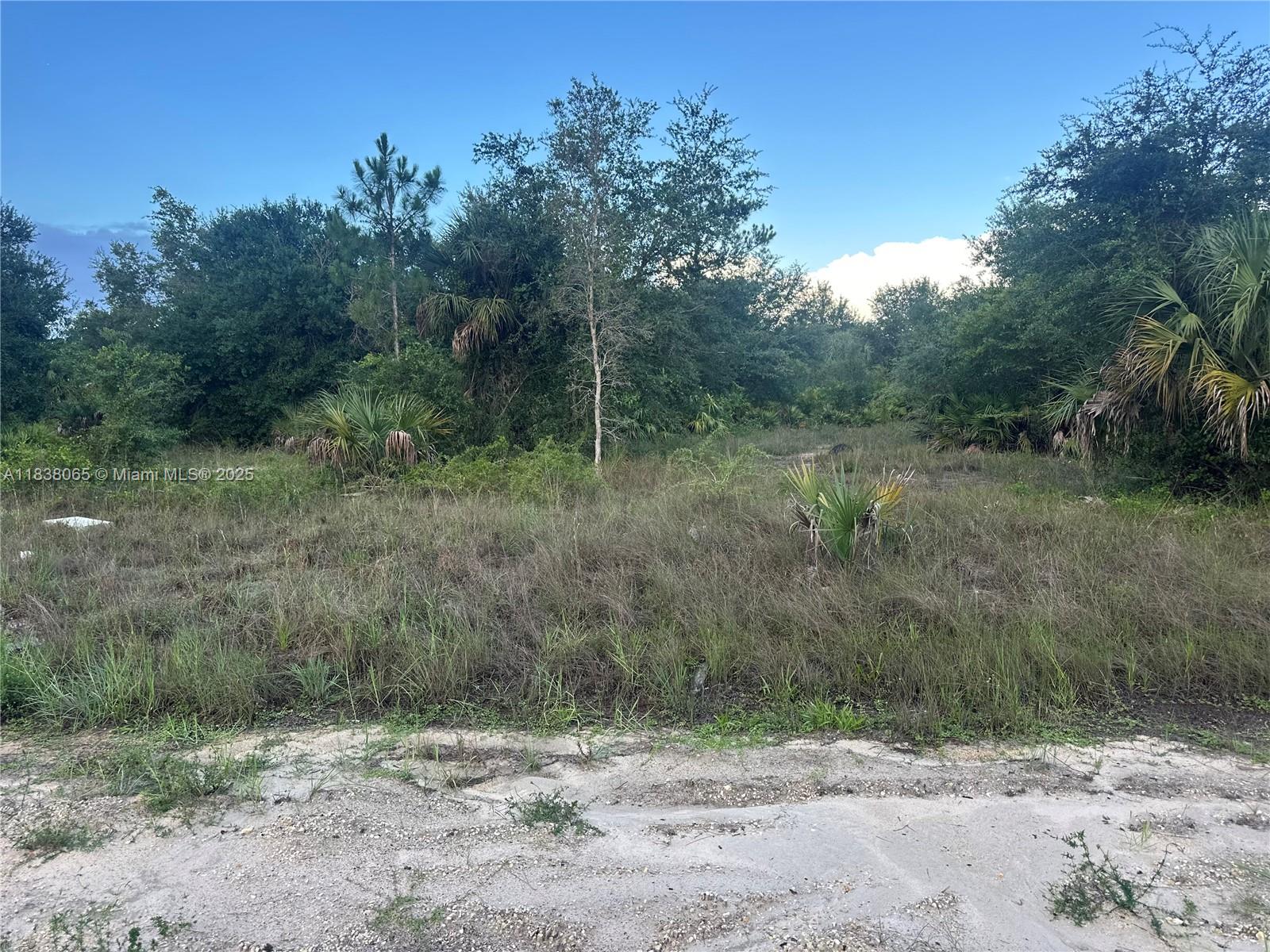 1406 Henry Ave, Lehigh Acres, Florida image 3
