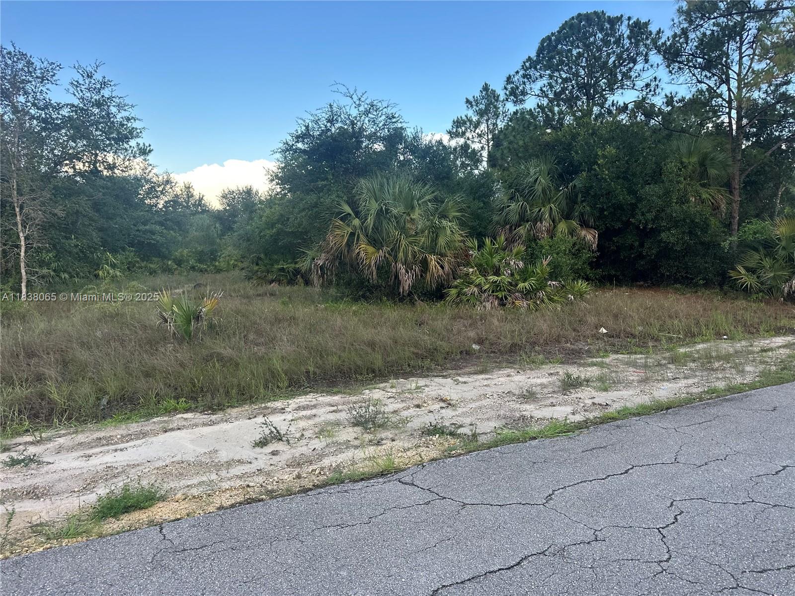 1406 Henry Ave, Lehigh Acres, Florida image 5