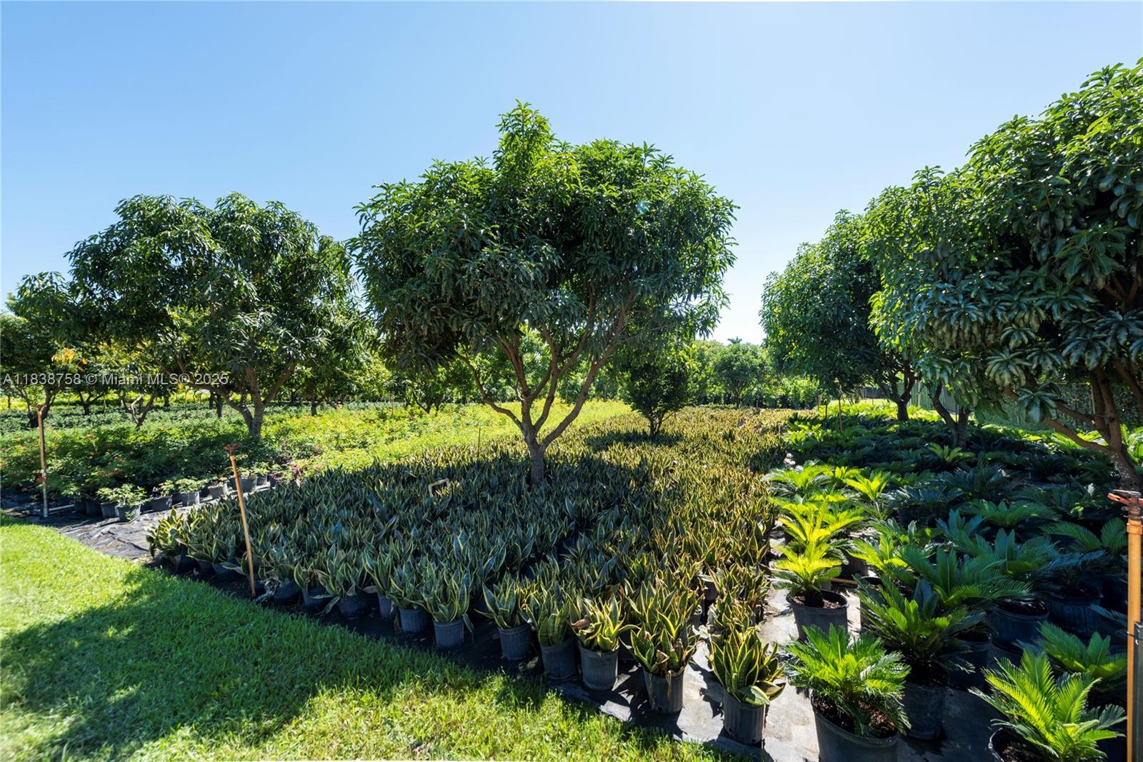 5960 SW 190th Ave, Southwest Ranches, Florida image 11