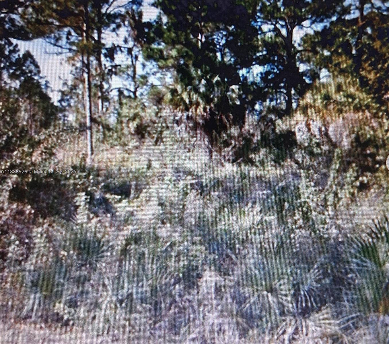 1109 Rambler St, Lehigh Acres, Florida image 1