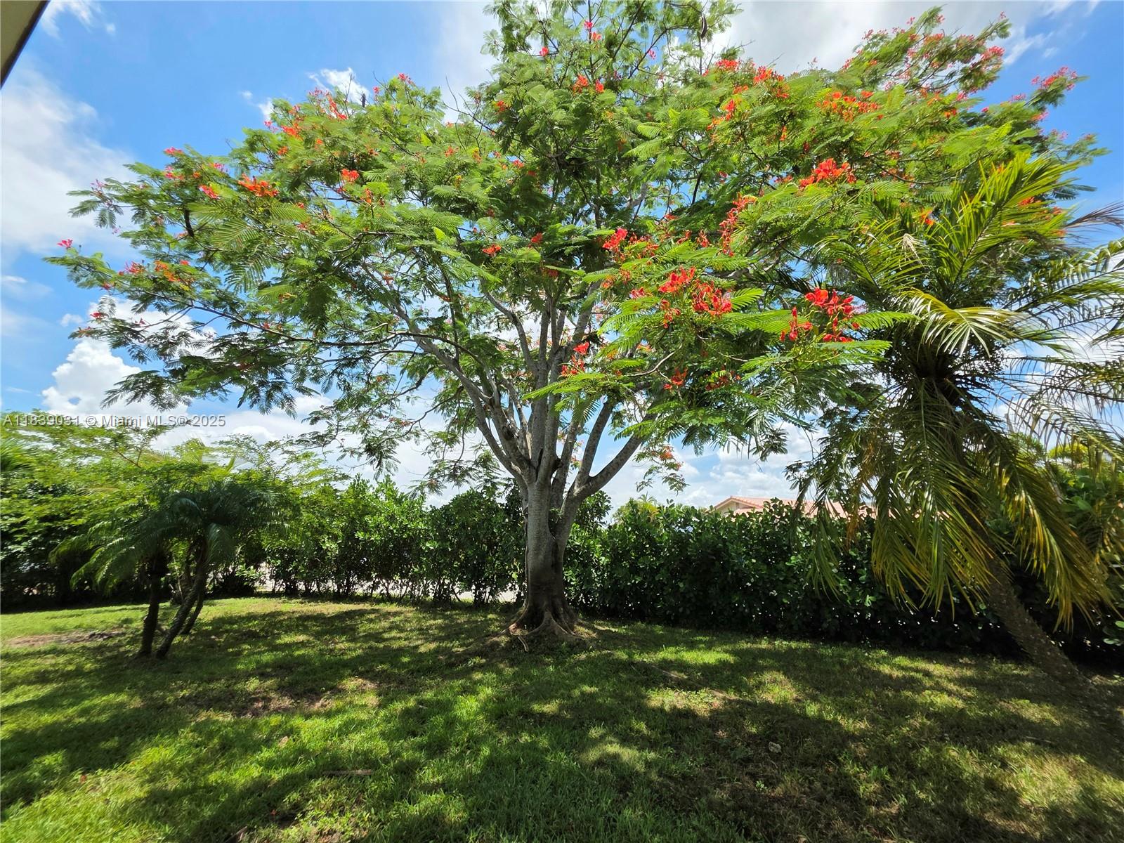 10120 NW 71st Pl, Tamarac, Florida image 28