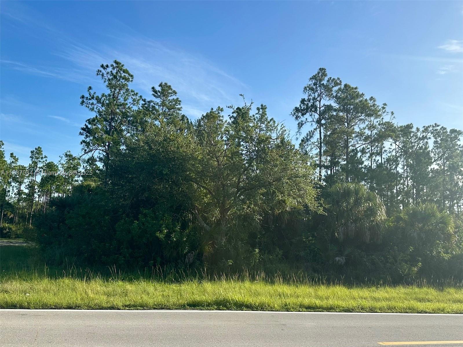 107 Oboe Ct, Lehigh Acres, Florida image 1