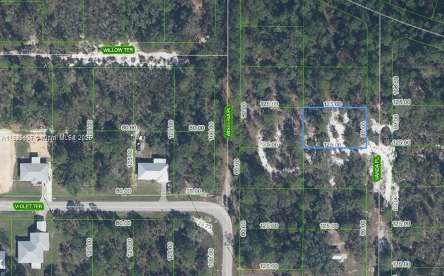 6809 Vanda Pl, Sebring, Florida image 2