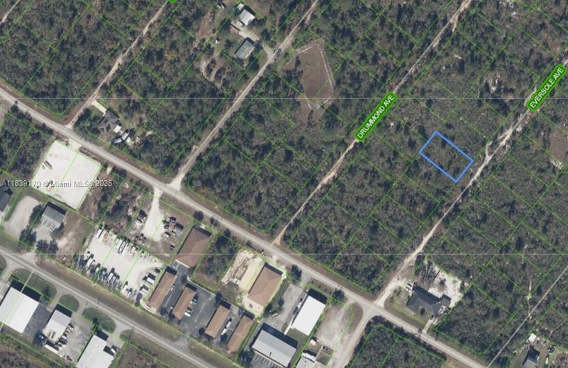 120 Eversole Ave, Lake Placid, Florida image 1