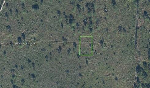 7811 Ronda St, Sebring, Florida image 3