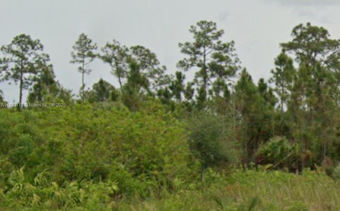 910 Washington Ave, Lehigh Acres, Florida image 1