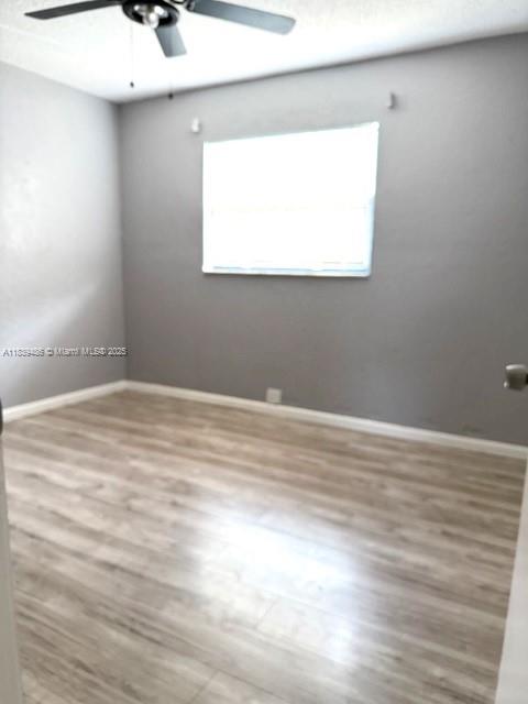 331 Blanco Ct, Sebring, Florida image 11