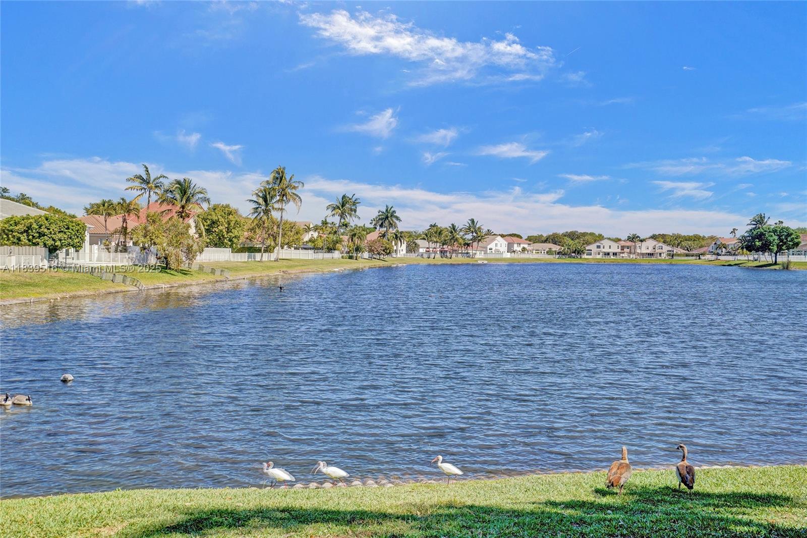4966 SW 33rd Ter, Hollywood, Florida image 8