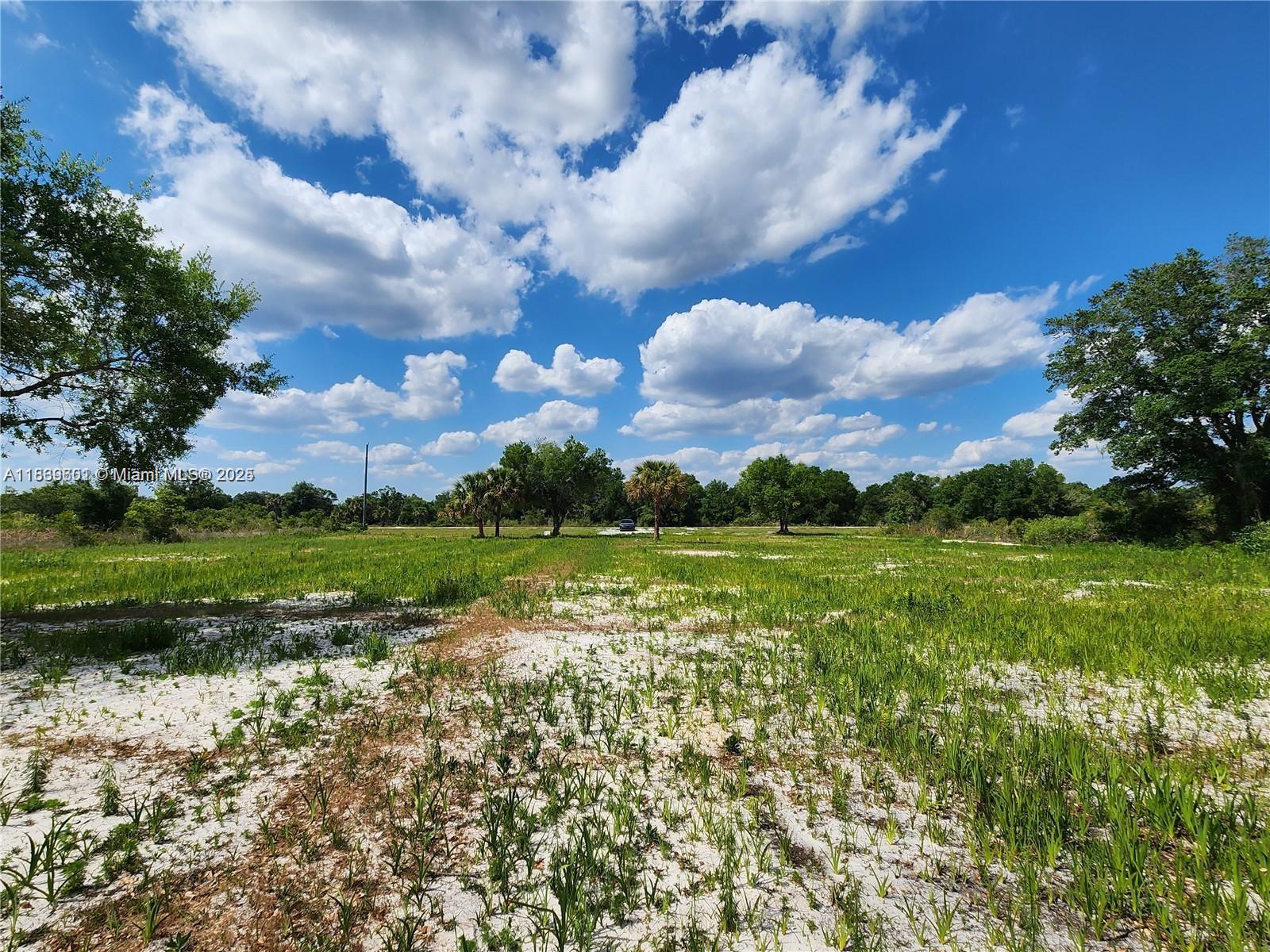 17212 NW 288 St, Okeechobee, Florida image 15