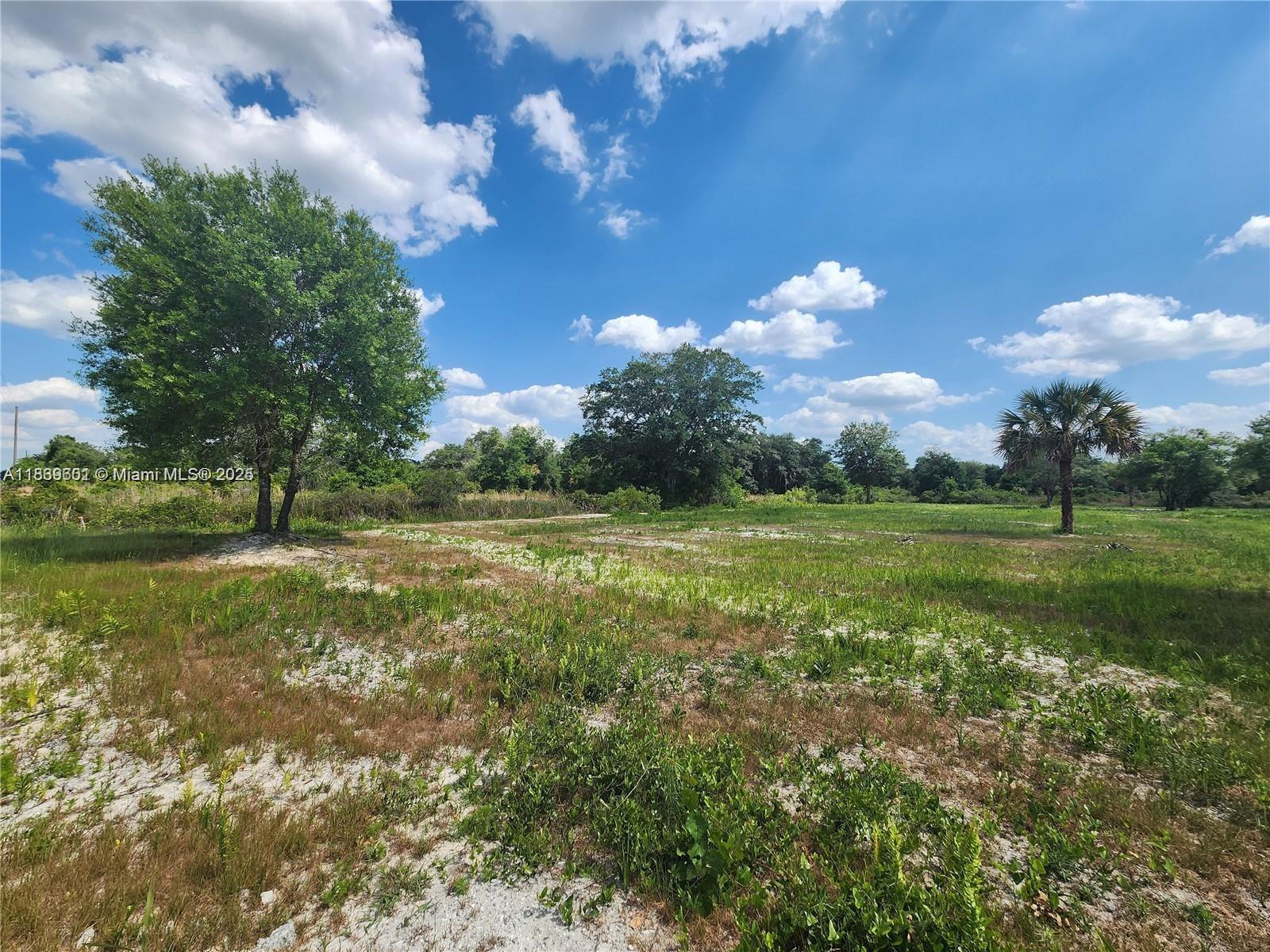 17212 NW 288 St, Okeechobee, Florida image 18