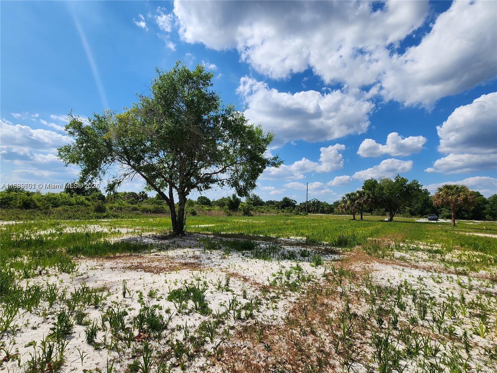 17212 NW 288 St, Okeechobee, Florida image 19