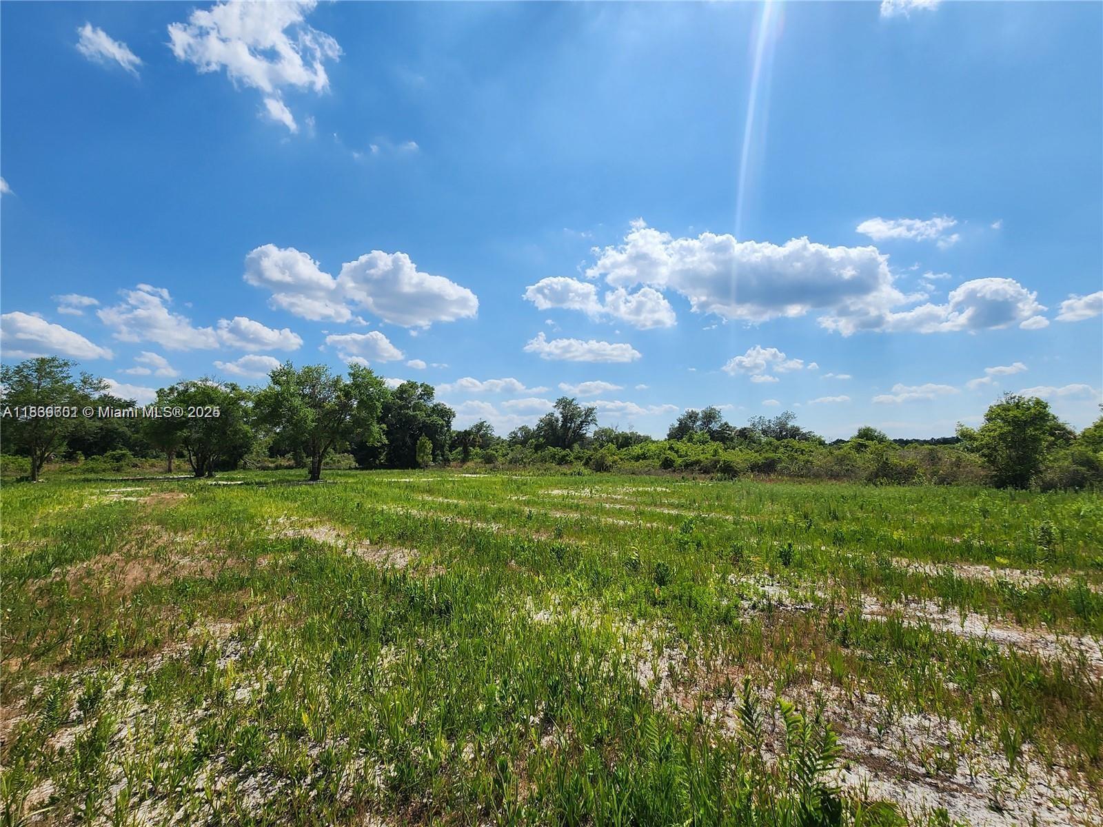 17212 NW 288 St, Okeechobee, Florida image 20