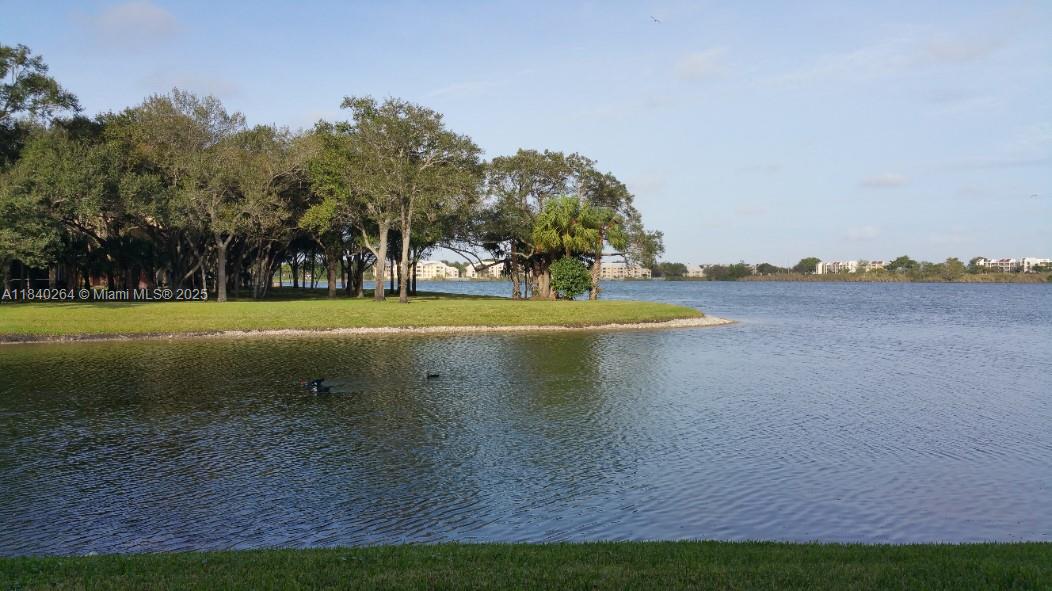 2361 NW 33rd St #604, Oakland Park, Florida image 2