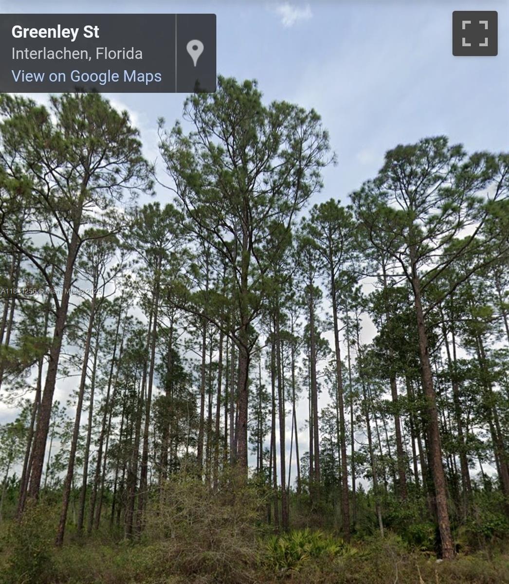 00 Greenley St, Palatka, Florida image 1