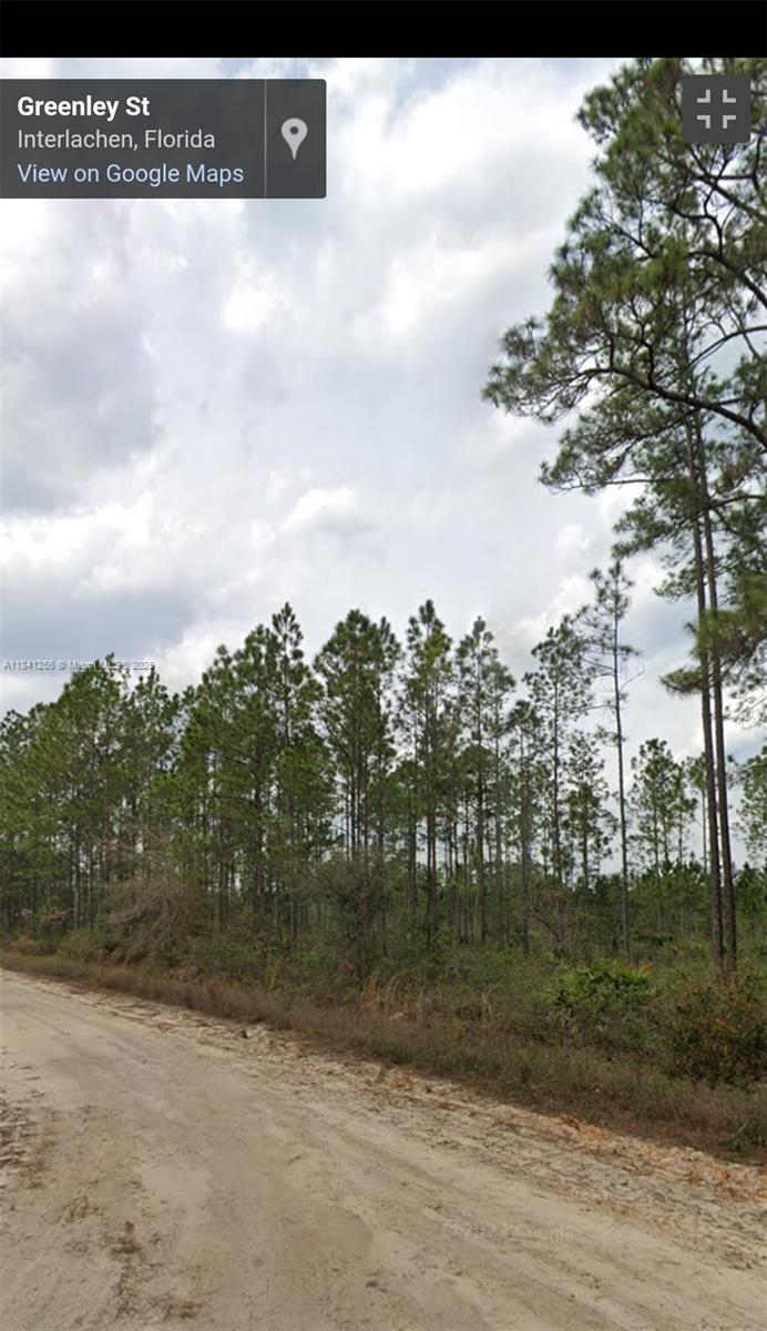 00 Greenley St, Palatka, Florida image 2