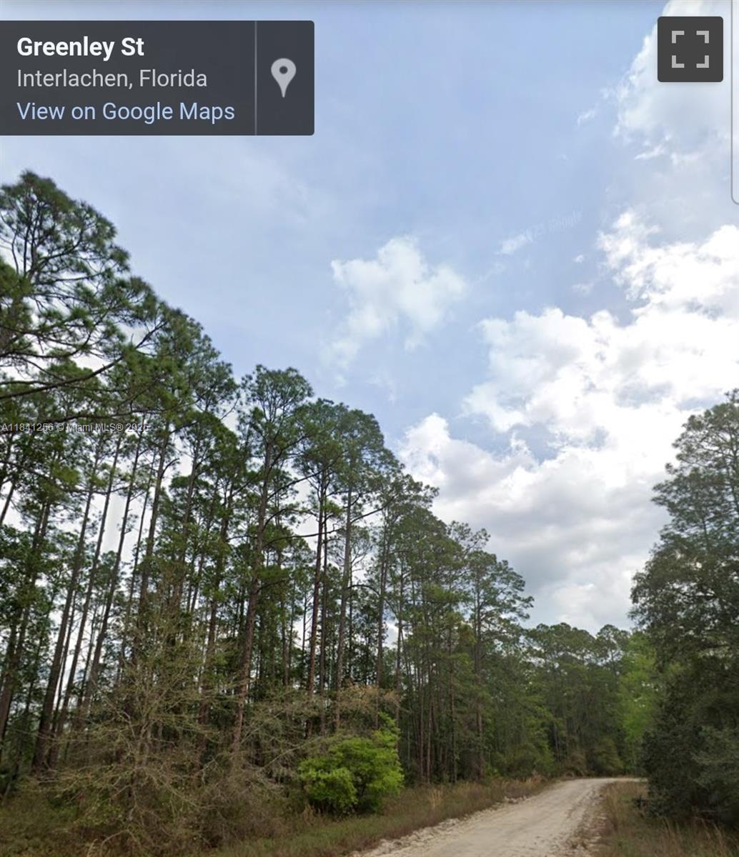 00 Greenley St, Palatka, Florida image 3