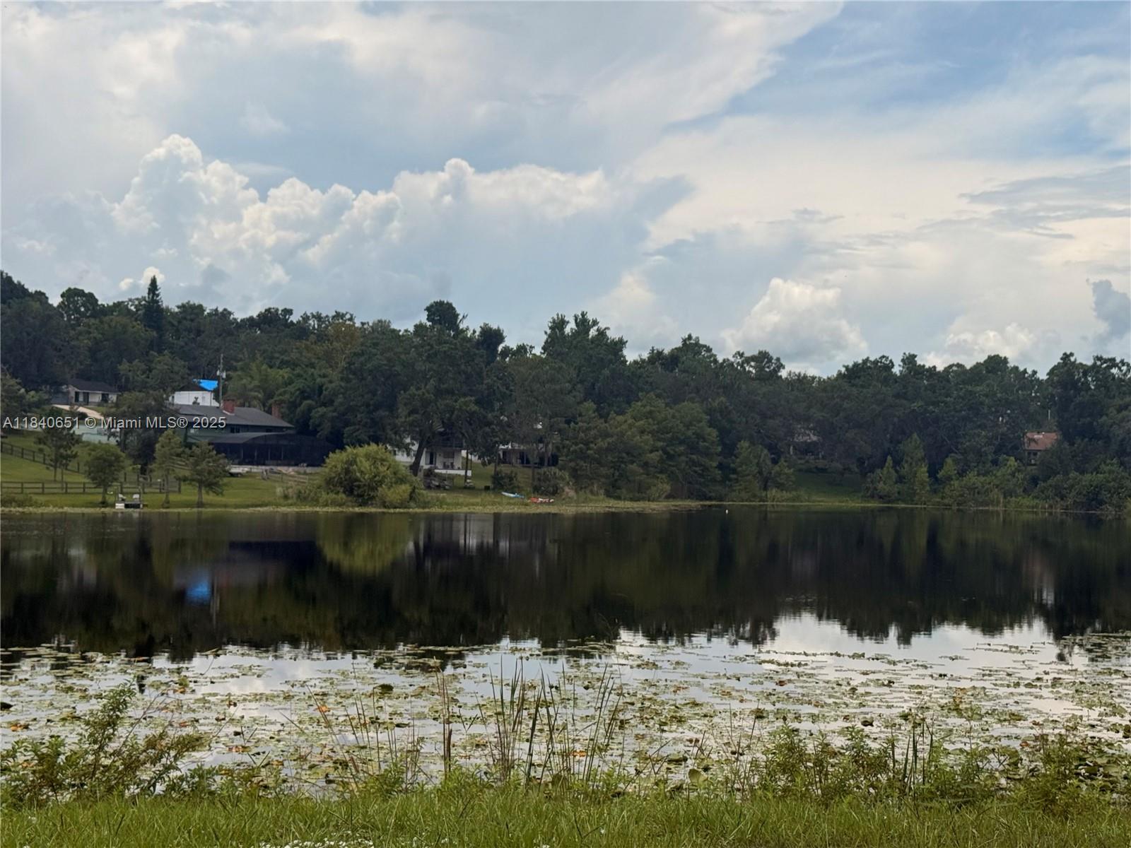 770 Broone, Clermont, Florida image 6