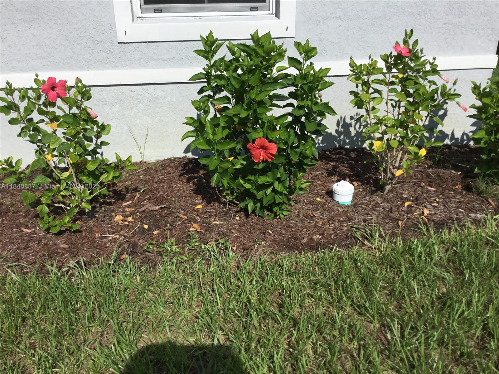 Property photo # 4