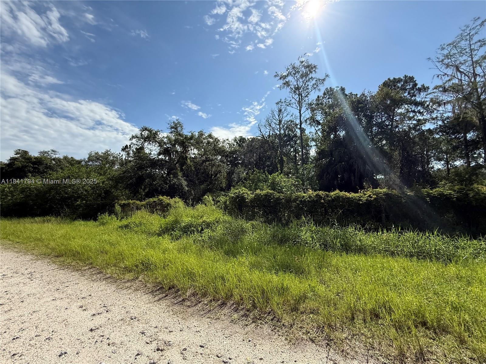 865 N Jinete St, Clewiston, Florida image 11