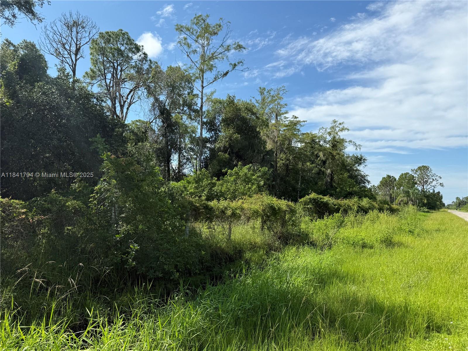 865 N Jinete St, Clewiston, Florida image 15