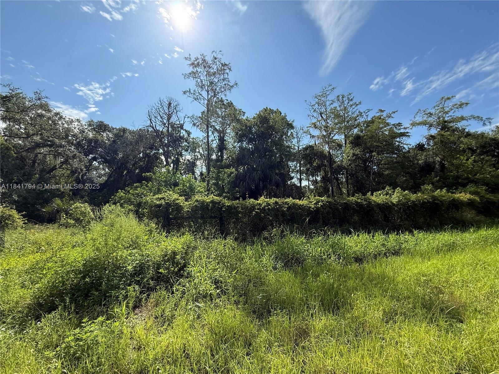 865 N Jinete St, Clewiston, Florida image 3