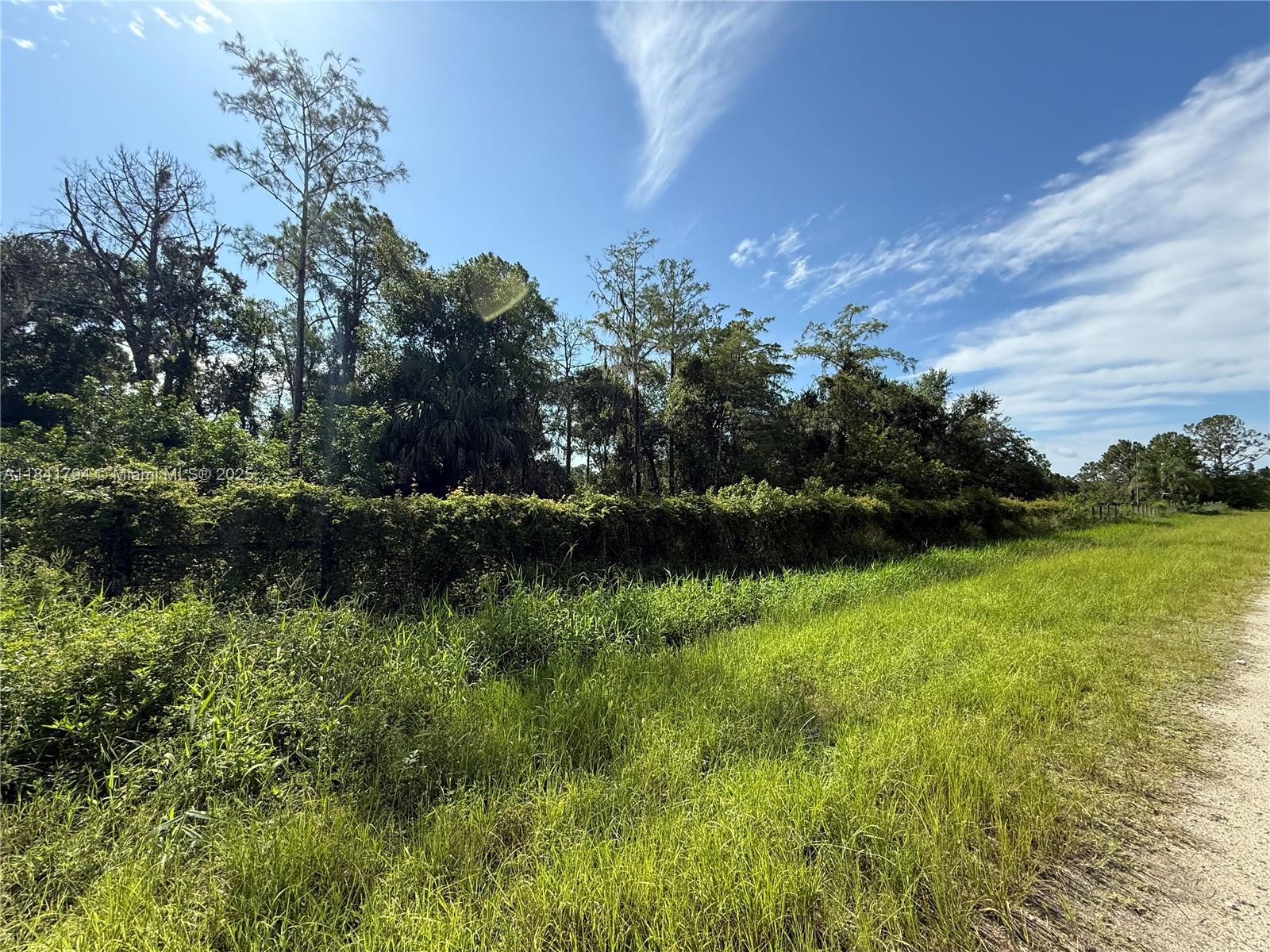 865 N Jinete St, Clewiston, Florida image 4