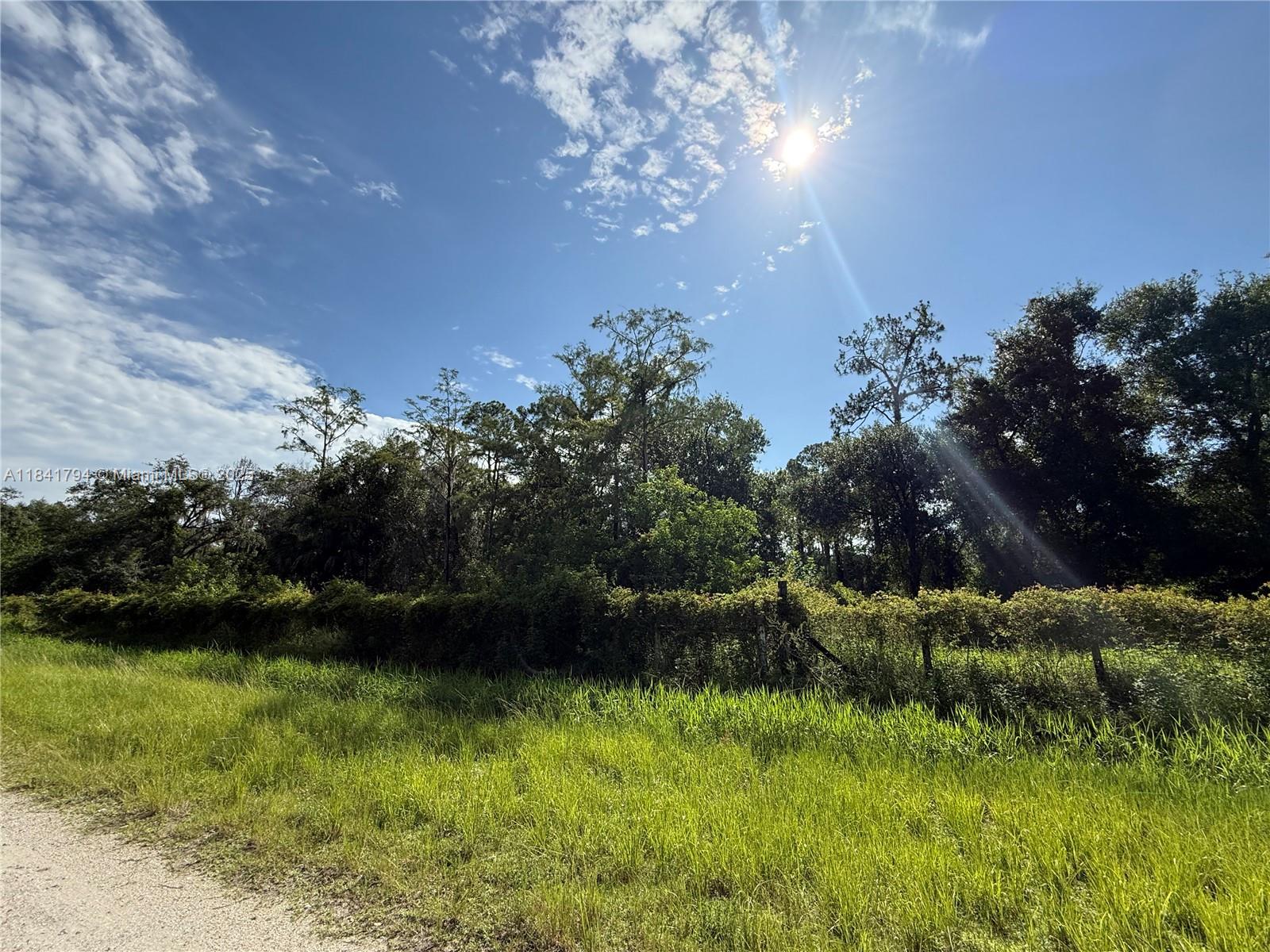 865 N Jinete St, Clewiston, Florida image 6