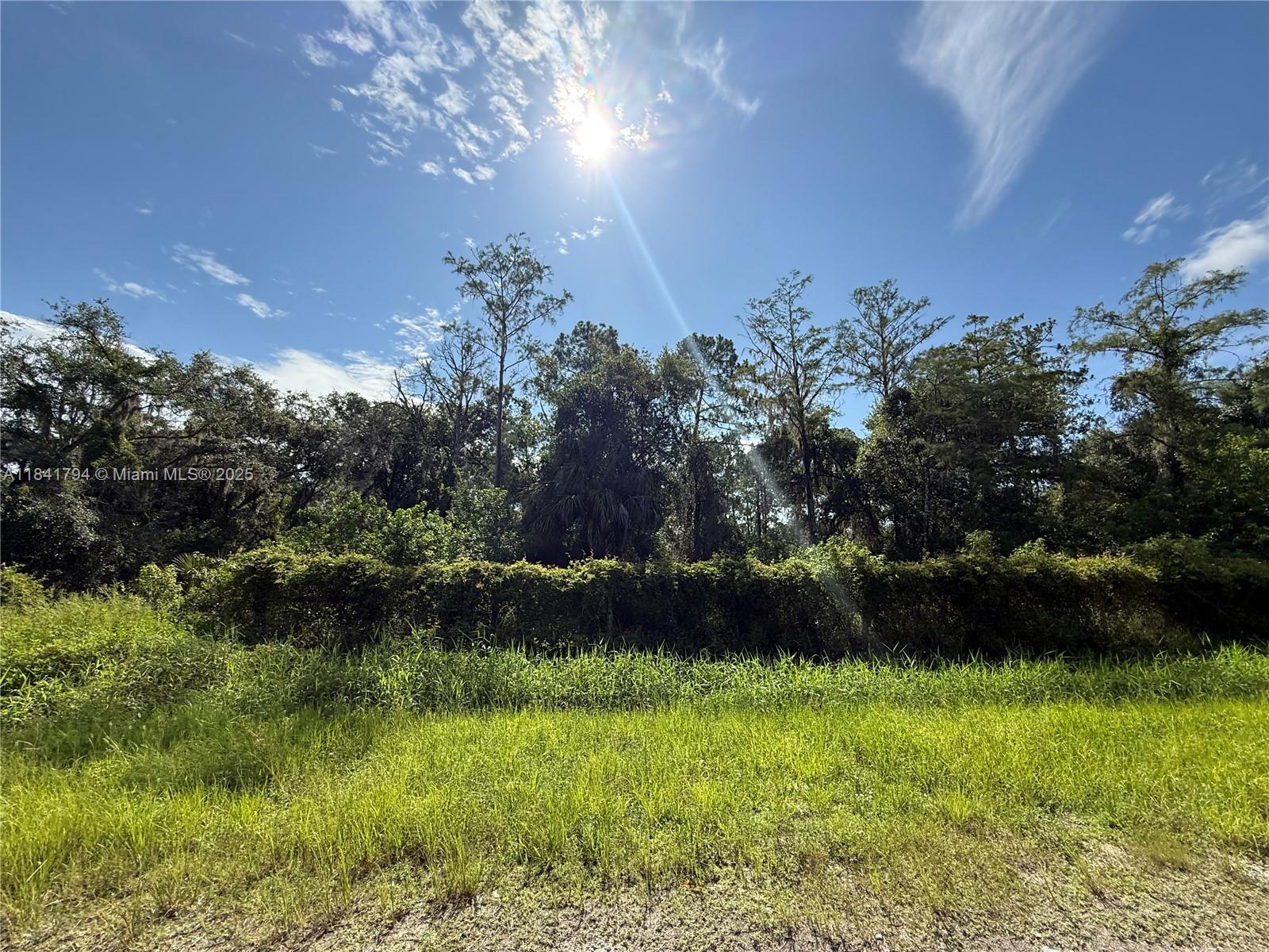 865 N Jinete St, Clewiston, Florida image 9