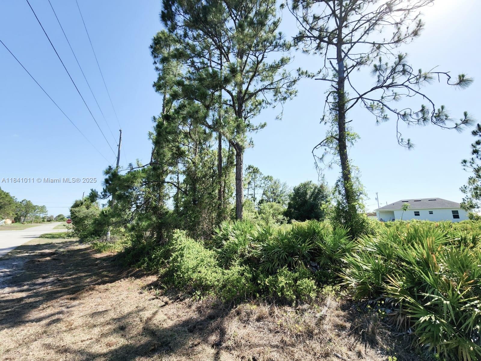 768 Bahama, Lehigh Acres, Florida image 1