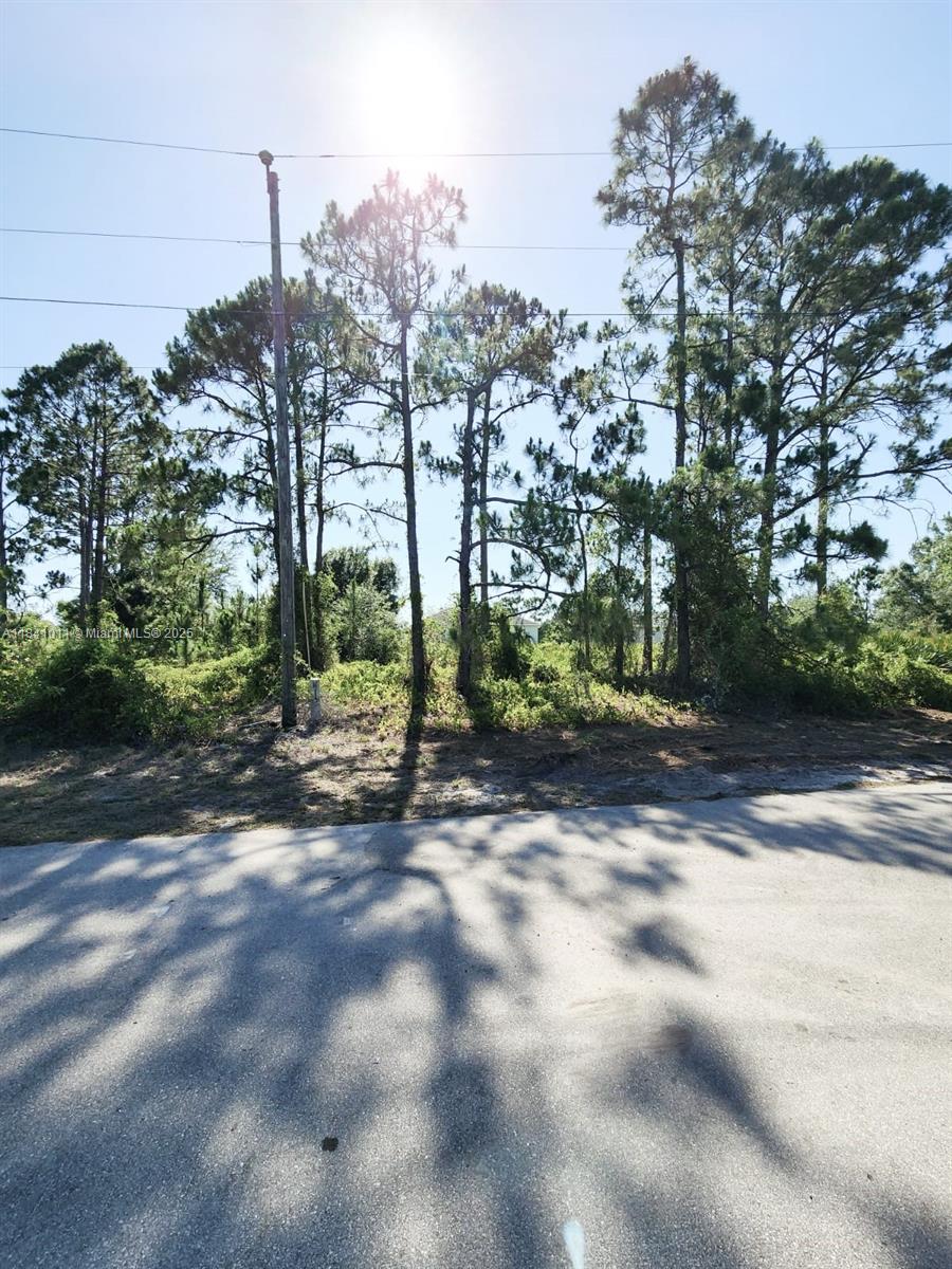 768 Bahama, Lehigh Acres, Florida image 2