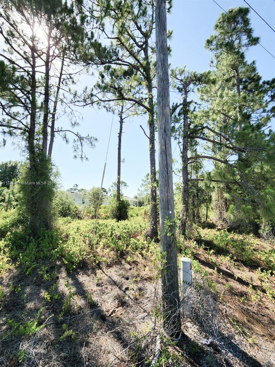 768 Bahama, Lehigh Acres, Florida image 3