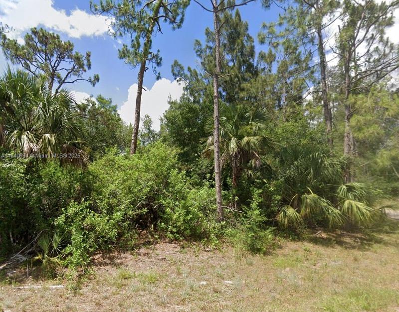 300 Ludlow Ave, Lehigh Acres, Florida image 3