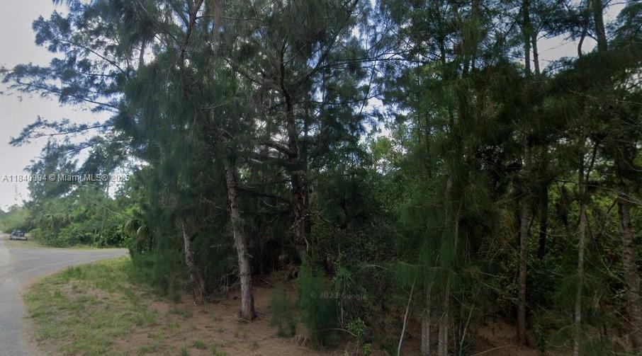 300 Ludlow Ave, Lehigh Acres, Florida image 6