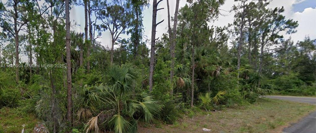 300 Ludlow Ave, Lehigh Acres, Florida image 7