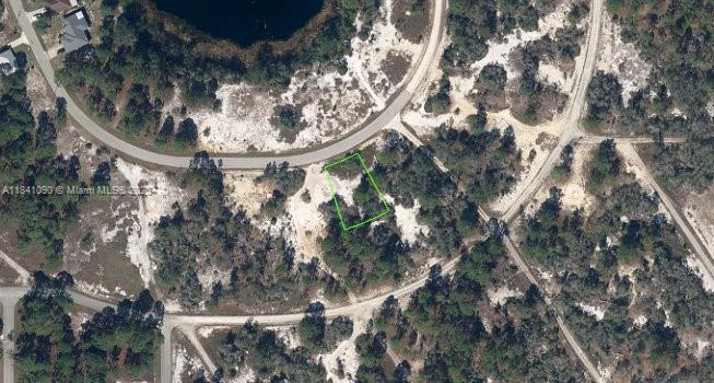 650 Lake Tina Drive, Lake Placid, Florida image 1